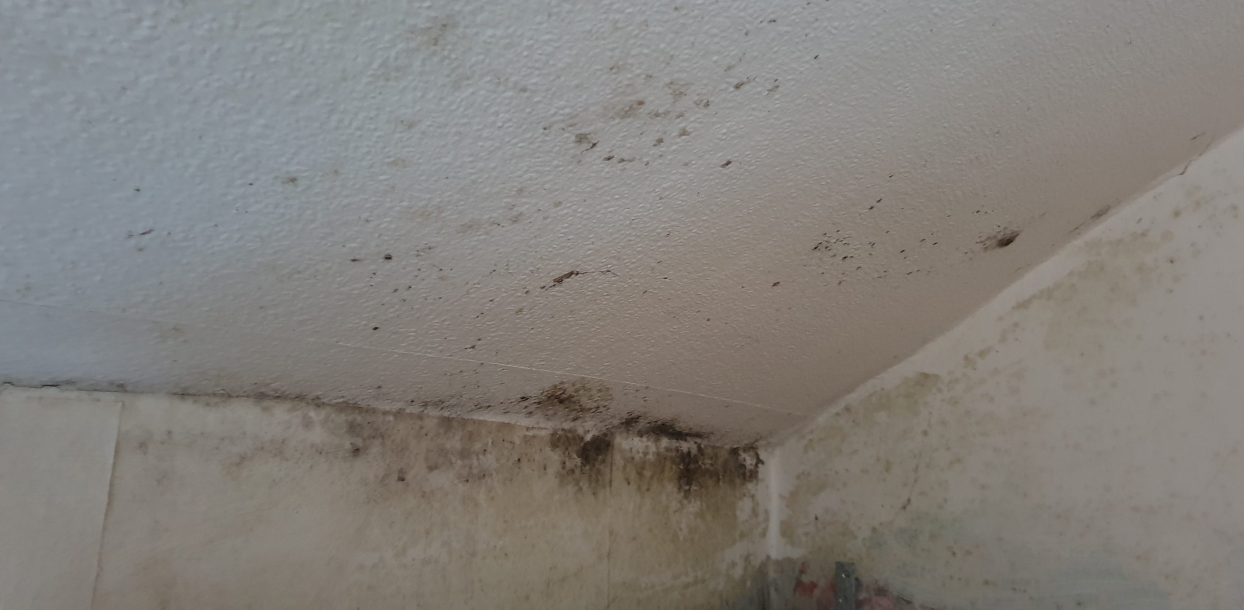 20230107_132105 before 20230107_132105 before