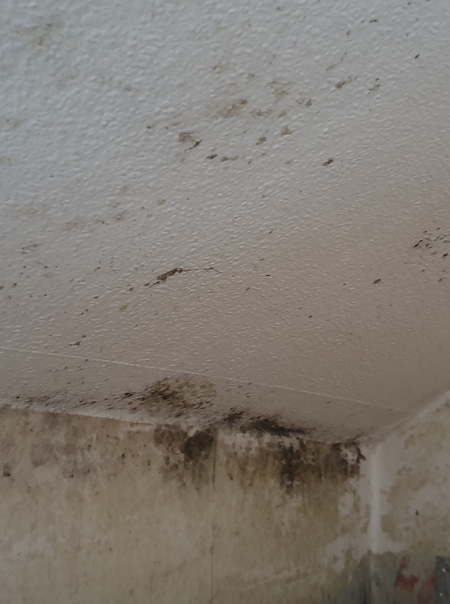 20230107_1321052 20230107_1321052